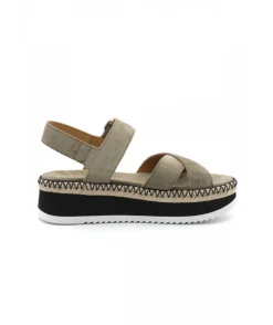 Alpe 2328-11