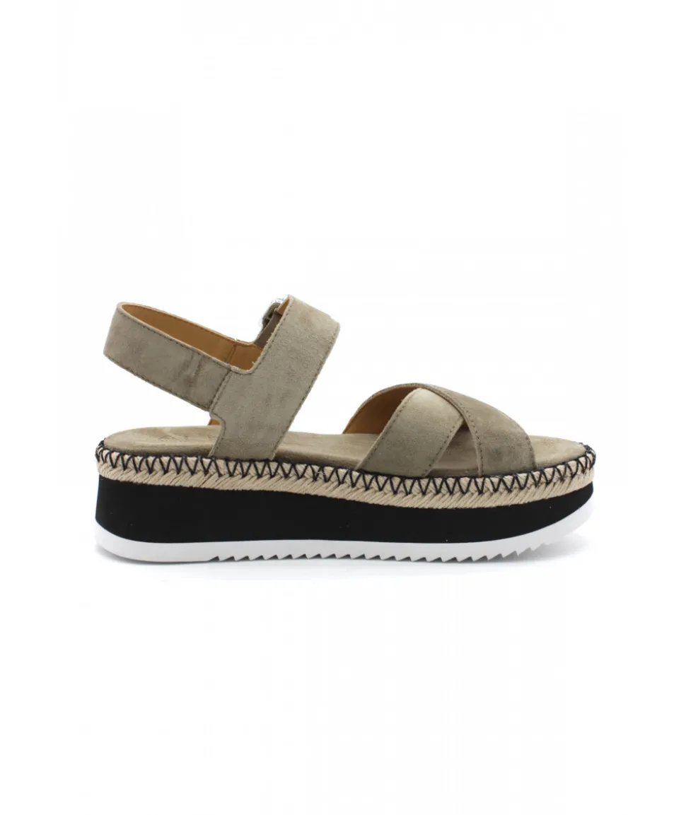 Alpe 2328-11