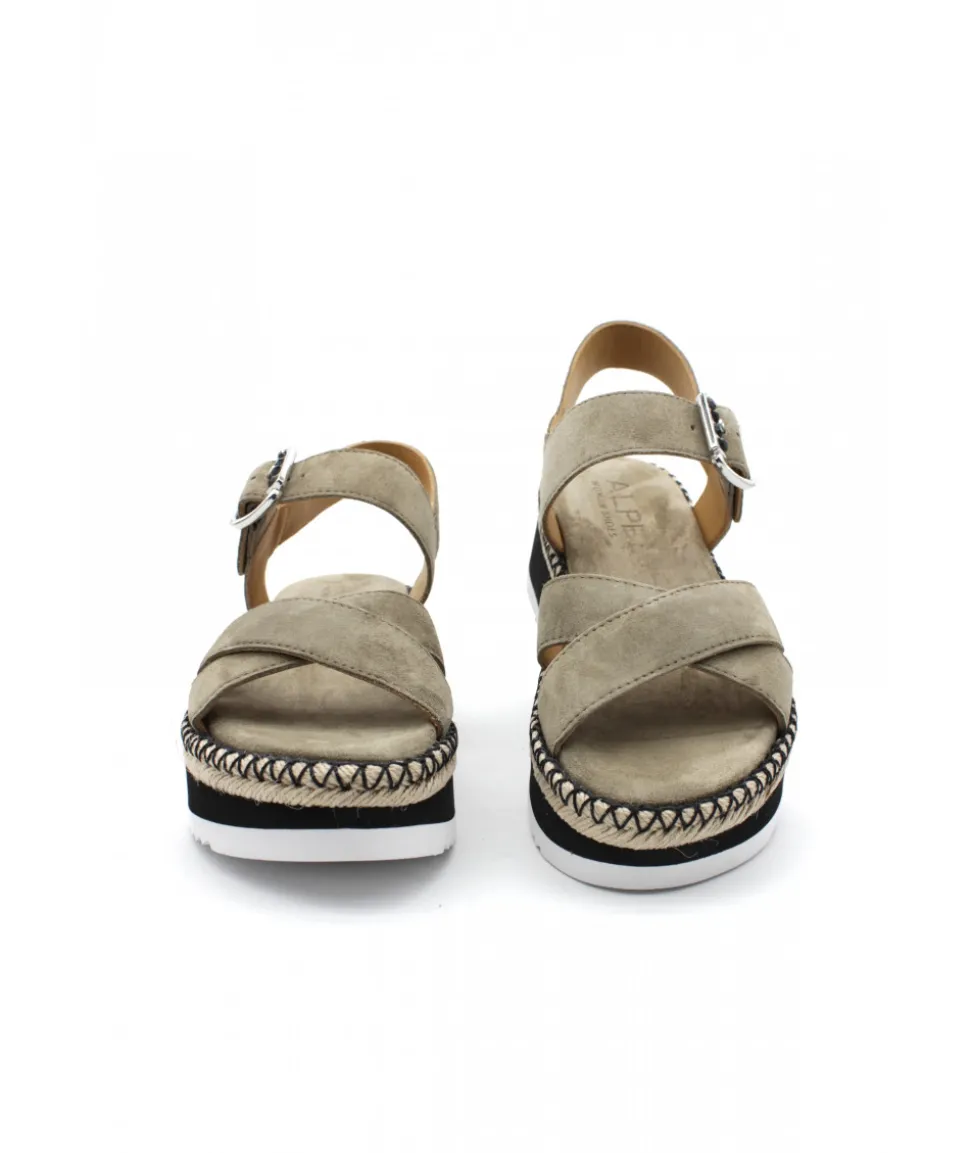 Alpe 2328-11