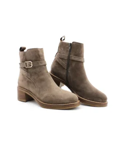 Alpe 2619-37