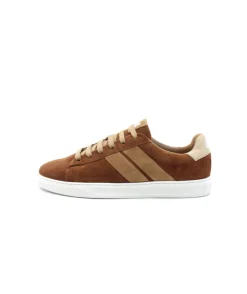 Caval Slash Brown Coffee