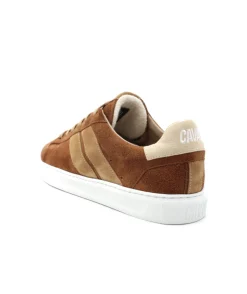 Caval Slash Brown Coffee