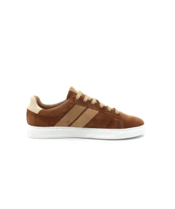 Caval Slash Brown Coffee