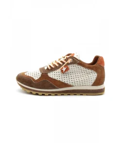Cetti C848