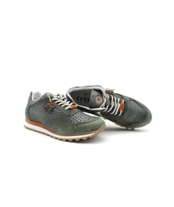 Cetti C848