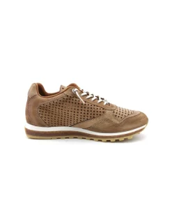 Cetti C848