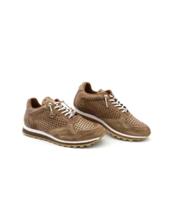 Cetti C848