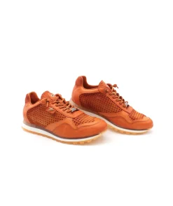 Cetti C848