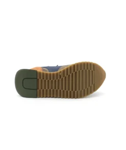 Cetti C1301 Ante