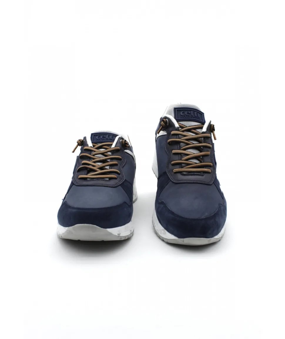 Cetti C1216 Ante