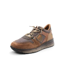 Cetti C1309 Ante Aged