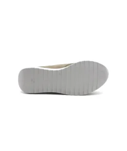 Cetti C1325 Ante Nubuck