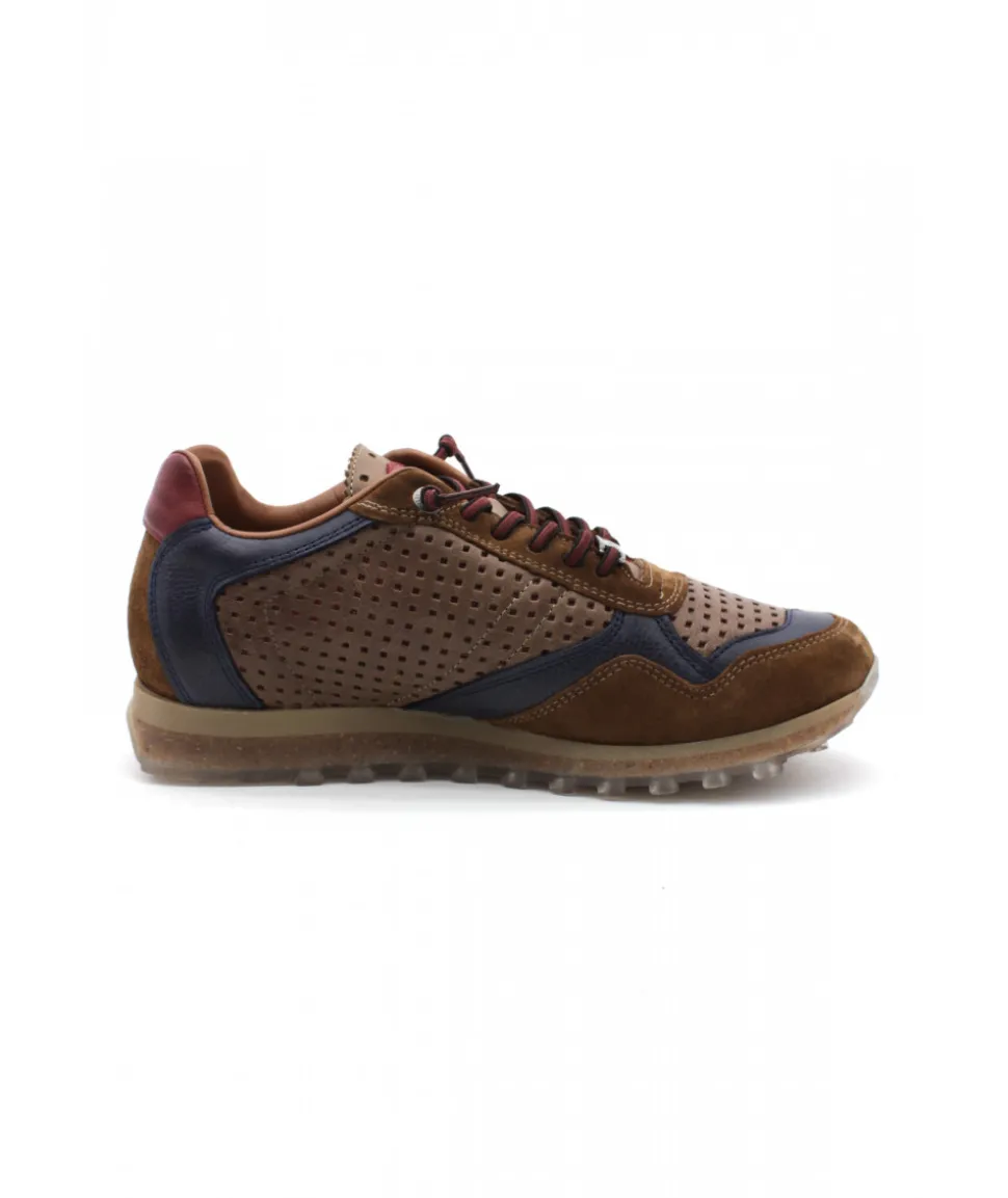 Cetti C848 Ante Sweet