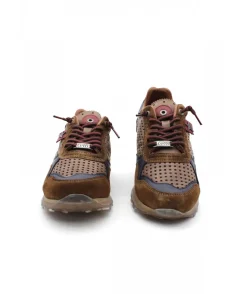 Cetti C848 Ante Sweet
