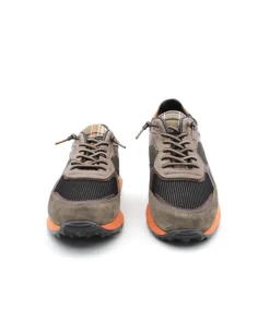 Cetti C1303 Ante Sweet