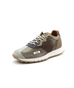 Cetti C1293 Degrade