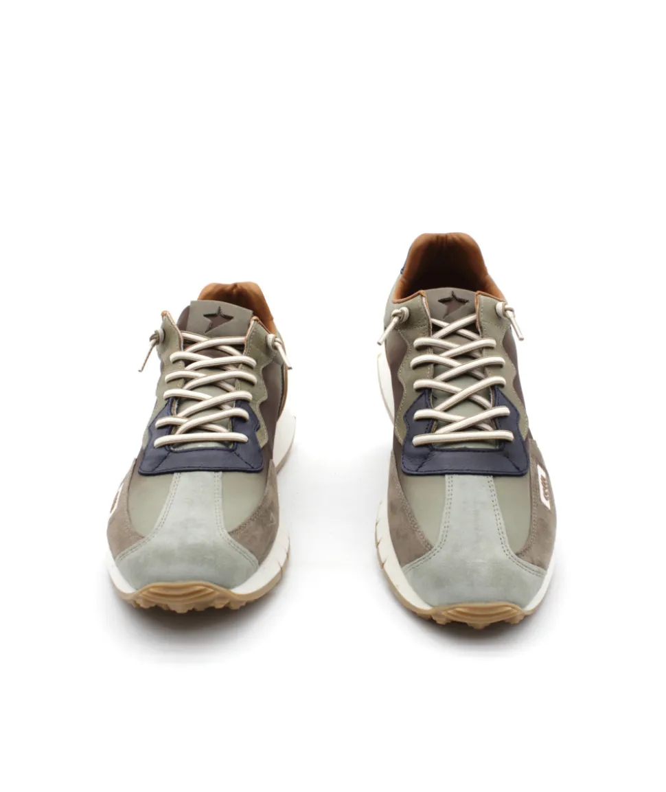 Cetti C1293 Degrade