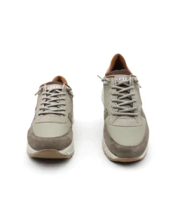 Cetti C1251 Sra