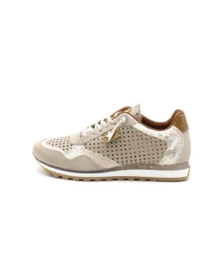 Cetti C848 Sra Ante Sweet