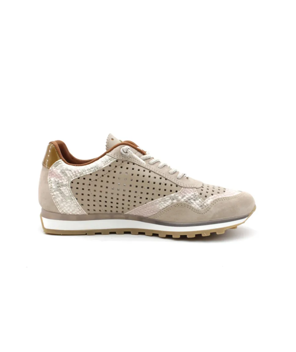 Cetti C848 Sra Ante Sweet