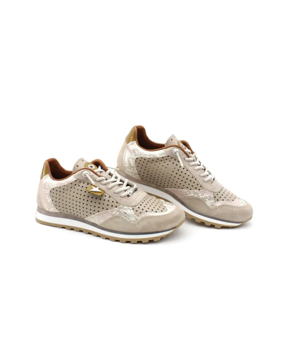 Cetti C848 Sra Ante Sweet