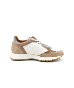 Cetti C1326 Sra Ante Sweet