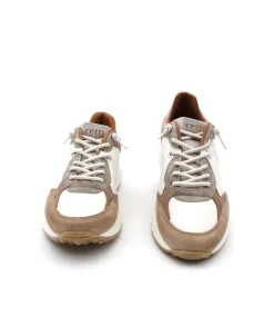 Cetti C1326 Sra Ante Sweet