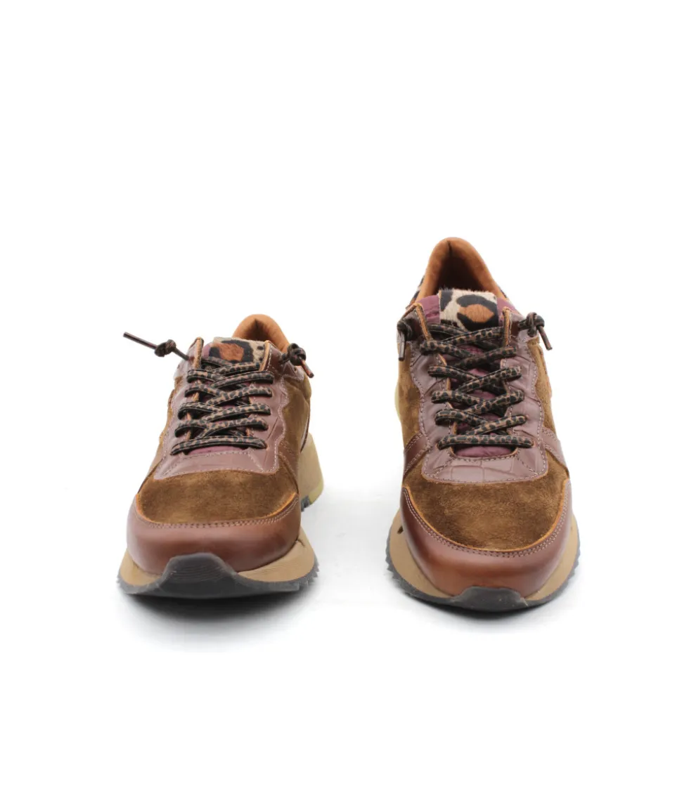 Cetti C1301 Sweet Ante