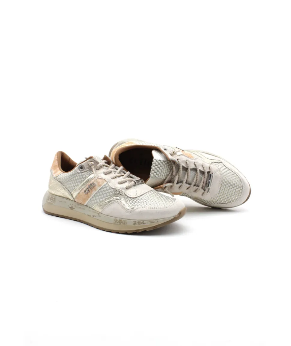 Cetti C1274 Trechia Champagne