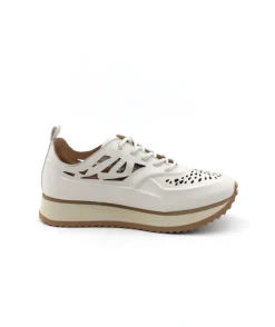Coco & Abricot Esbly V2807C