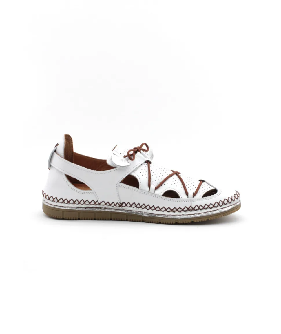 Coco & Abricot Melinnew V2674B