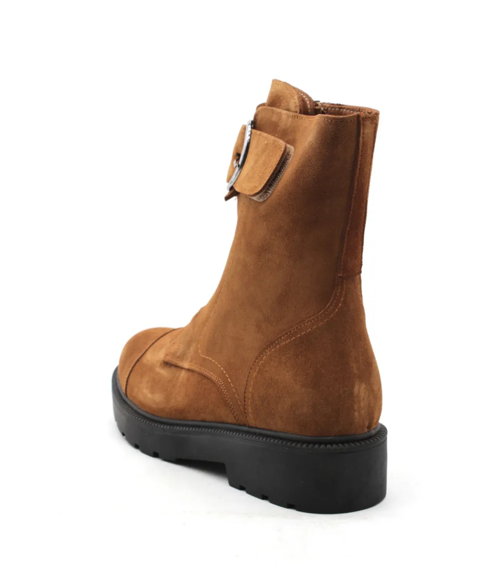 Coco & Abricot Menigoute V2508A
