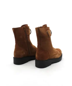 Coco & Abricot Menigoute V2508A