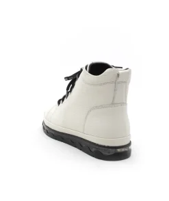 Coco & Abricot Sabaillan V2524B