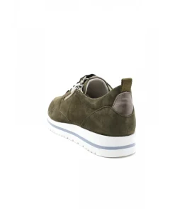 Dorking D8763 Algas
