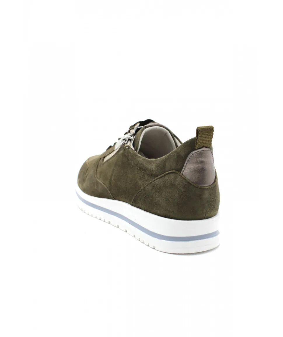 Dorking D8763 Algas