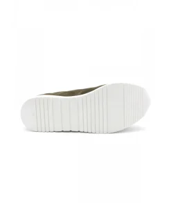 Dorking D8763 Algas