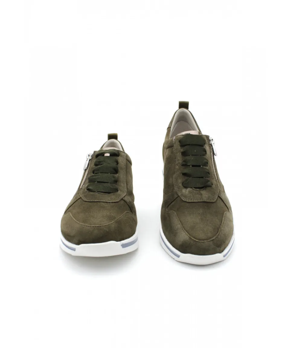 Dorking D8763 Algas