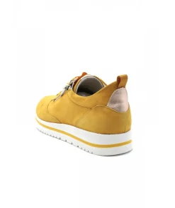 Dorking D8763 Algas
