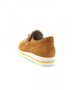 Dorking D8765 Algas