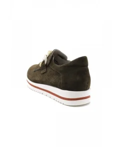 Dorking D8765 Algas