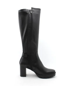 Dorking D8955 Evie