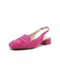 Dorking D9305 Gia