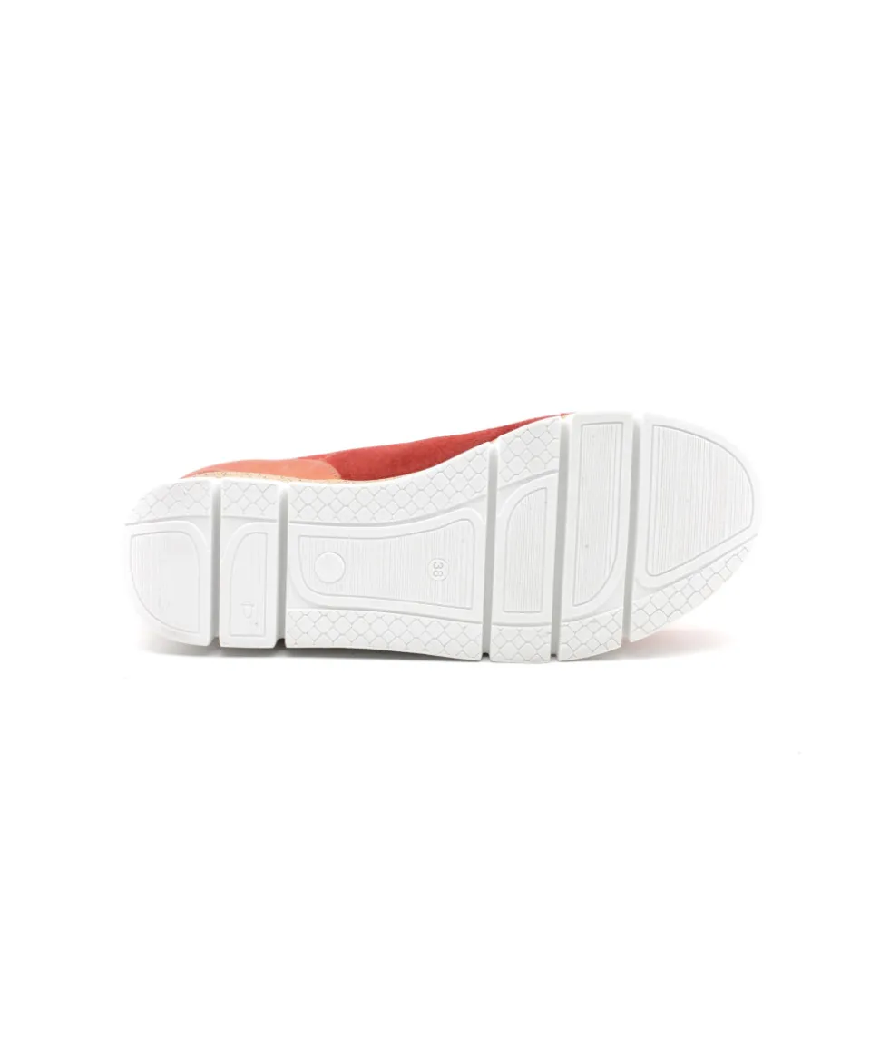 Dorking D9300 India