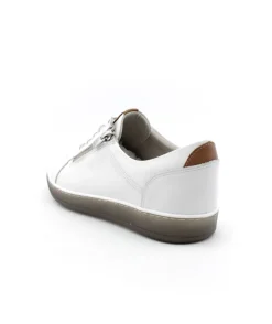 Dorking D8225 Karen