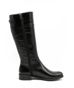 Dorking D7687 Tierra