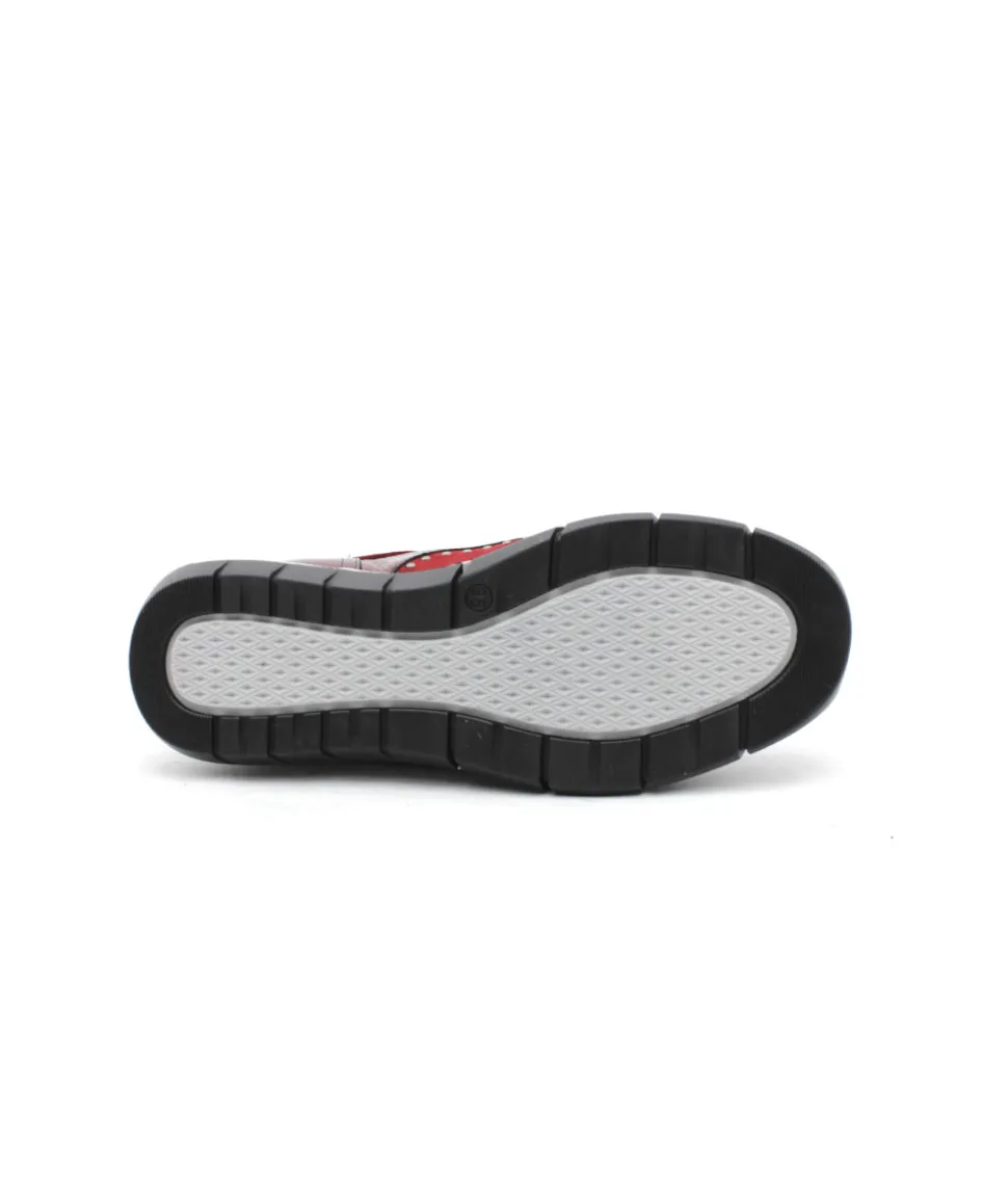 Dorking D8680 Xanet