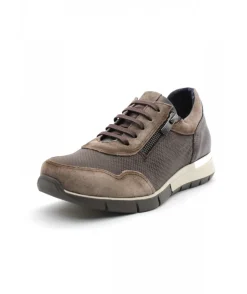 Dorking D8678 Xanet