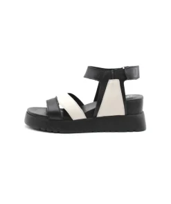 Felmini D837 Calf