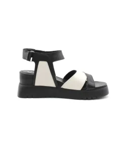 Felmini D837 Calf